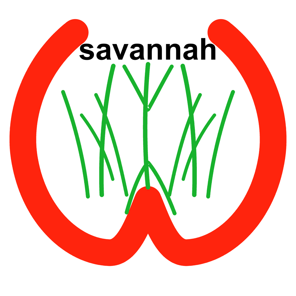 Savanah Emergency logo